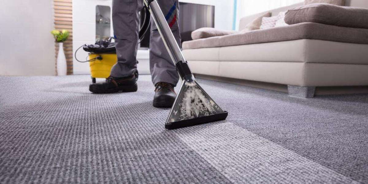 Why Every Home Should Invest in Regular Professional Carpet Cleaning