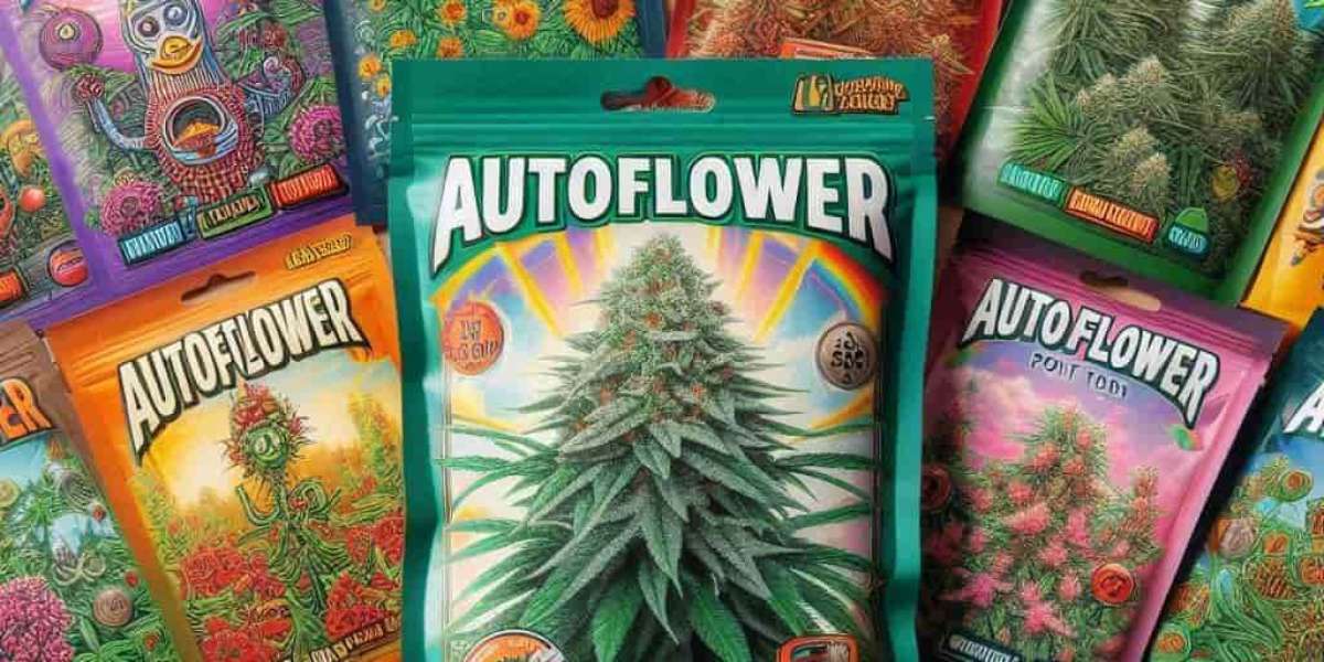 Best Cannabis Seeds in Montana: A Guide for Growers